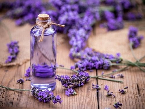 Lavender Essential Oils, Organic Essential Oils Wholesale Supplier in India